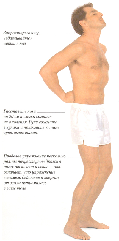 177_1.jpg (152876 bytes)