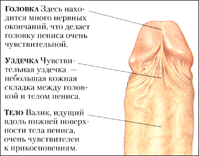 186_1.jpg (122832 bytes)