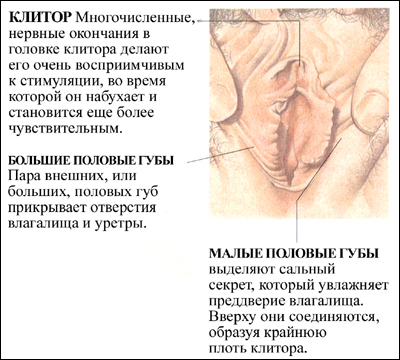 187_1.jpg (112804 bytes)