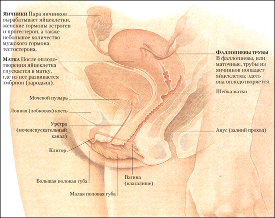 187_2.jpg (306158 bytes)