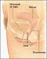 foto096h.jpg (19531 bytes)