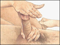 foto106h.jpg (13621 bytes)