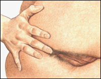 foto114i.jpg (33419 bytes)